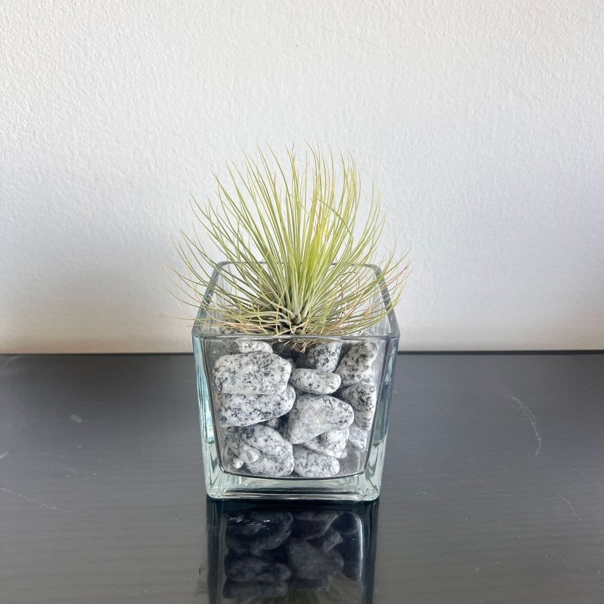 andreana s בכלי זכוכית