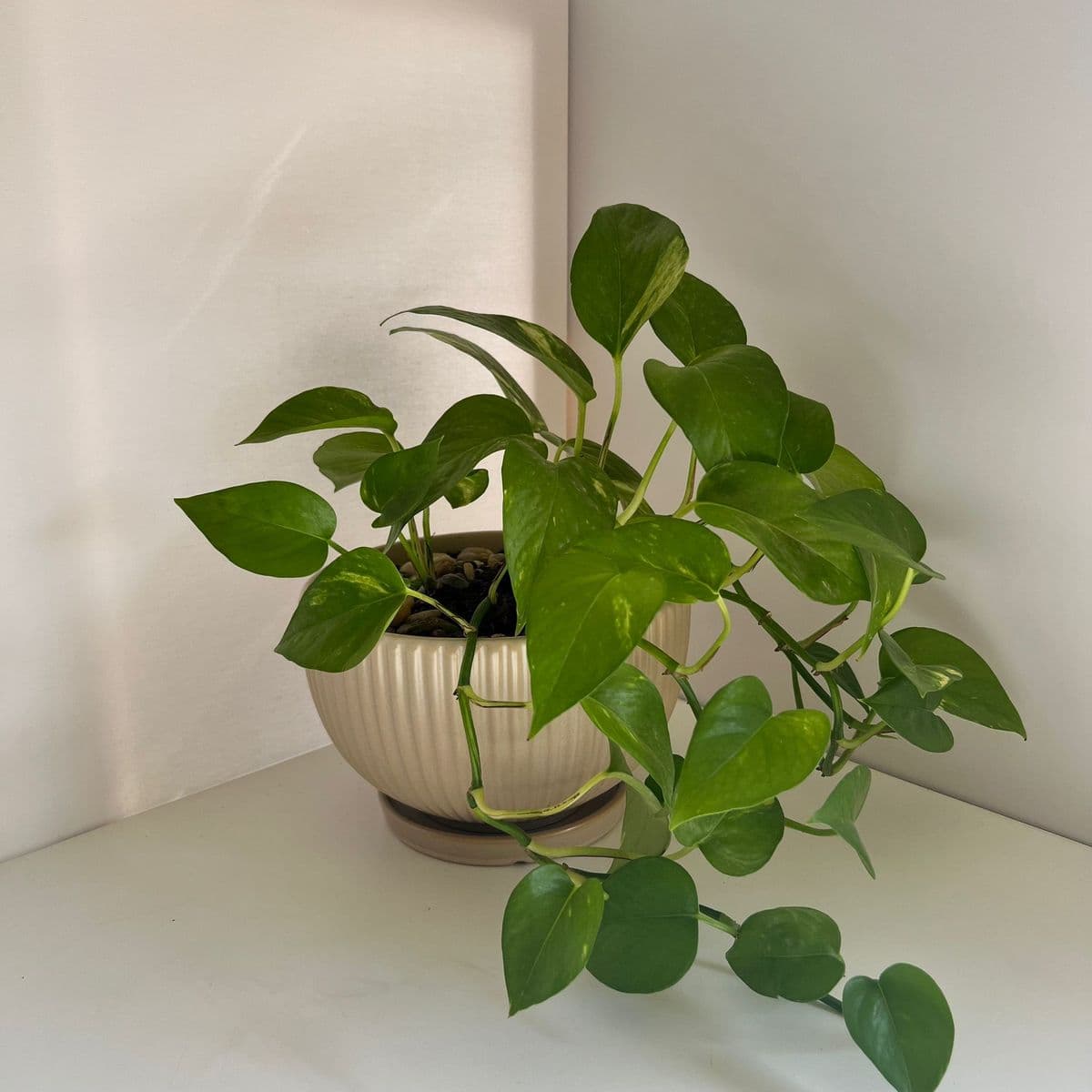 מעיין ביג' 20+פוטוס