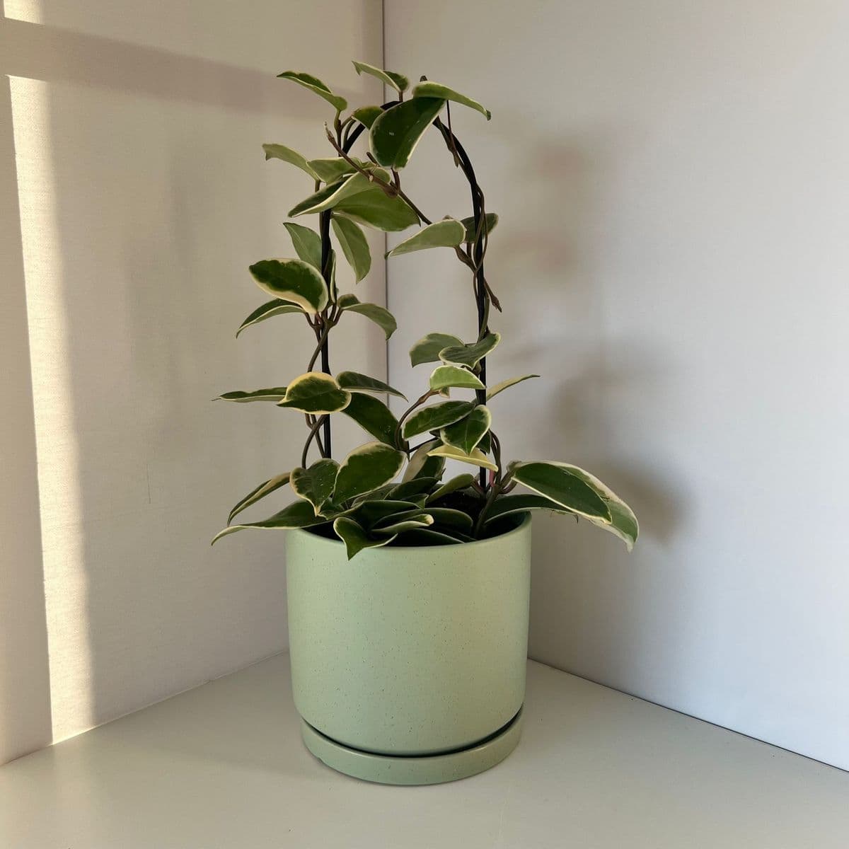 אביב ירוק בהיר+בת שבע 12